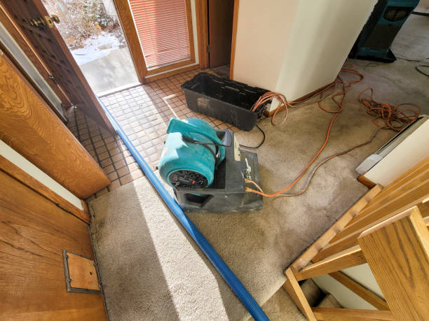 Best Water Damage Assessment and Inspection in Defiance, OH